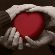 elderly heart