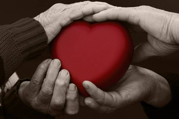 elderly heart