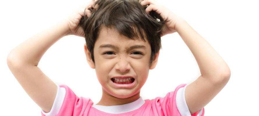 head lice