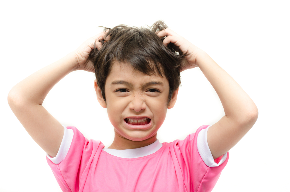 head lice