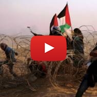 Palestinian rioters on Israel's border with Gaza