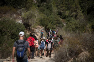 Hiking