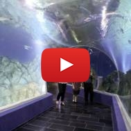 Jerusalem Aquarium