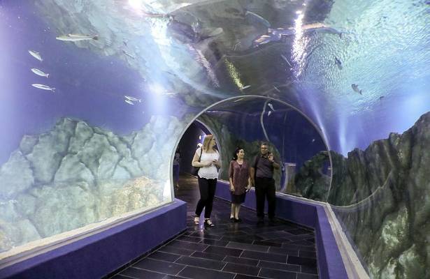 Jerusalem Aquarium