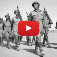 Jewish Brigade