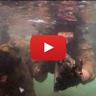 IDF Special Forces. (screenshot)