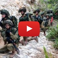 IDF