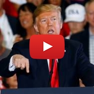 President Donald Trump