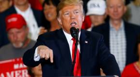 President Donald Trump