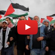 Palestinian protesters