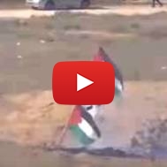 Palestinian Nazi flag