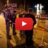 Palestinian terror