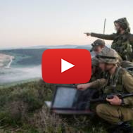 IDF intelligence