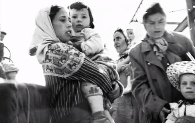 Jewish refugees arrive in Israel. (Screenshot)