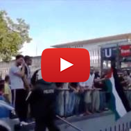 Pro Palestinian Germany