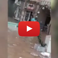 Israeli Police Saving Arab Woman