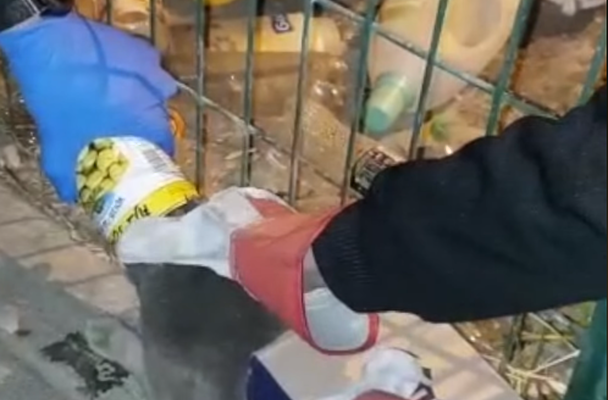 Israeli Police Save Cat
