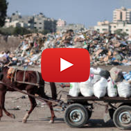 A Palestinian at a dump in Gaza City. (Wissam Nassar/Flash90)