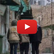 Anti-Israel activists