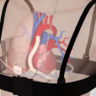 Leviticus heart pump. (screenshot)