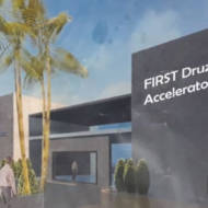 Druze hi-tech leadership