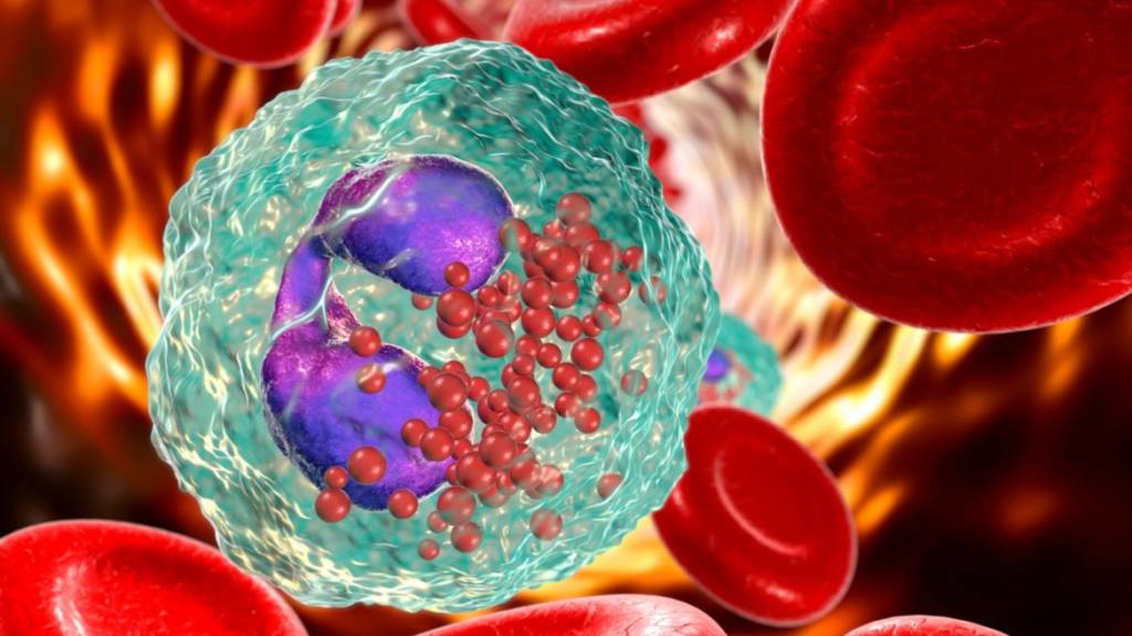 blood cells