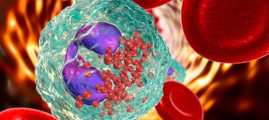 blood cells