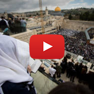 Worshipers pray in front of the Western Wall. (Yonatan Sindel/Flash90)