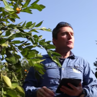 SeeTree CEO Israel Talpaz. (screenshot)