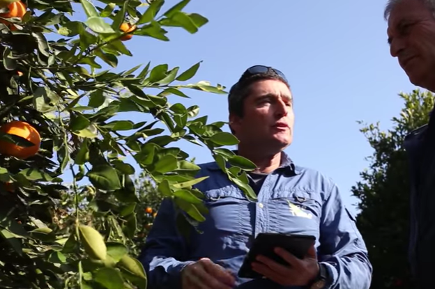 SeeTree CEO Israel Talpaz. (screenshot)