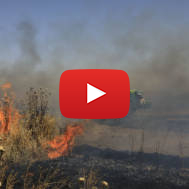 A fire started in Israel by terrorists in the Gaza Strip. (AP Photo/Tsafrir Abayov)