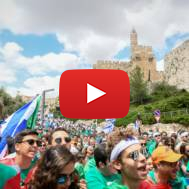 Israeli and international youth in Jerusalem. (Yossi Zeliger/Flash90)