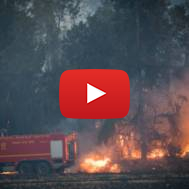 Fire fighters try to extinguish a forest fire near Kibbutz Harel, on May 23, 2019. (Yonatan Sindel/Flash90)