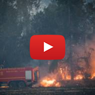 Fire fighters try to extinguish a forest fire near Kibbutz Harel, on May 23, 2019.  (Yonatan Sindel/Flash90)  *** Local Caption *** ùøéôä ùøéôú çåøù éòø òöéí òùï àù çåí çîñéï ùøá îæâ àåéø éòø áï ùîï ëéáåé îñå÷éí îèåñéí îëáé àù ÷éáåõ äøàì