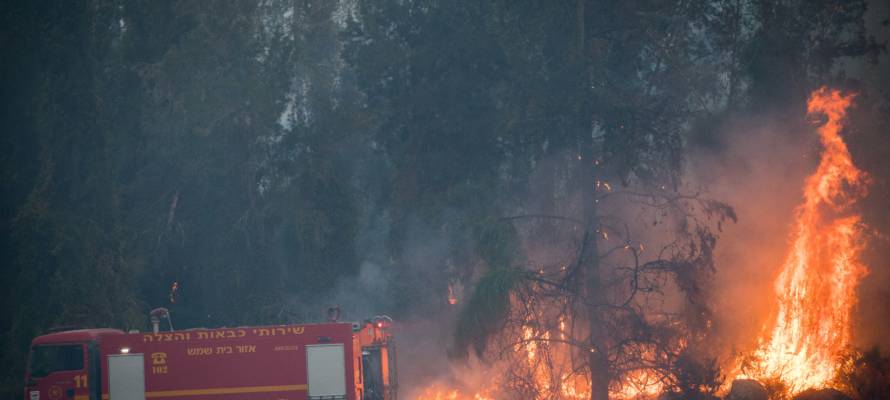 Fire fighters try to extinguish a forest fire near Kibbutz Harel, on May 23, 2019. (Yonatan Sindel/Flash90) *** Local Caption *** ùøéôä ùøéôú çåøù éòø òöéí òùï àù çåí çîñéï ùøá îæâ àåéø éòø áï ùîï ëéáåé îñå÷éí îèåñéí îëáé àù ÷éáåõ äøàì