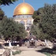 Temple Mount piles of garbage (The Temple Institute)