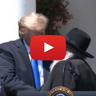 Trump Rabbi Goldstein