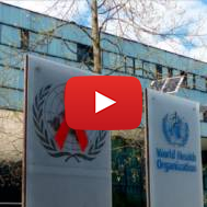 World Health Organization