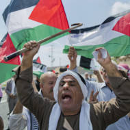 anti-Israel protesters