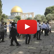 Israeli police escort a group of Jews near  Dome of the Rock /Al Aqsa Mosque on the Temple Mount, June 2, 2019. (AP Mahmoud Illean)