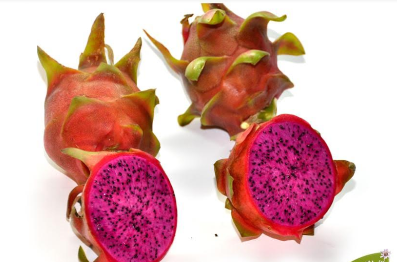 Pitaya (Top Eden Fruits)