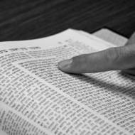 Reading the Torah