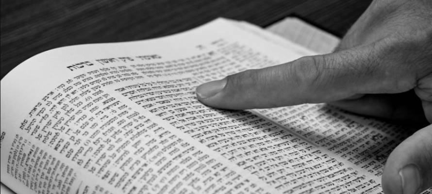 Reading the Torah