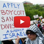BDS