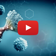 Cancer Cells