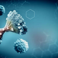 Cancer Cells