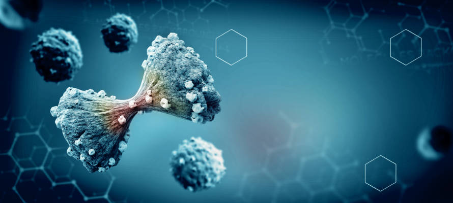 Cancer Cells