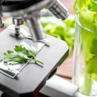 Food technology