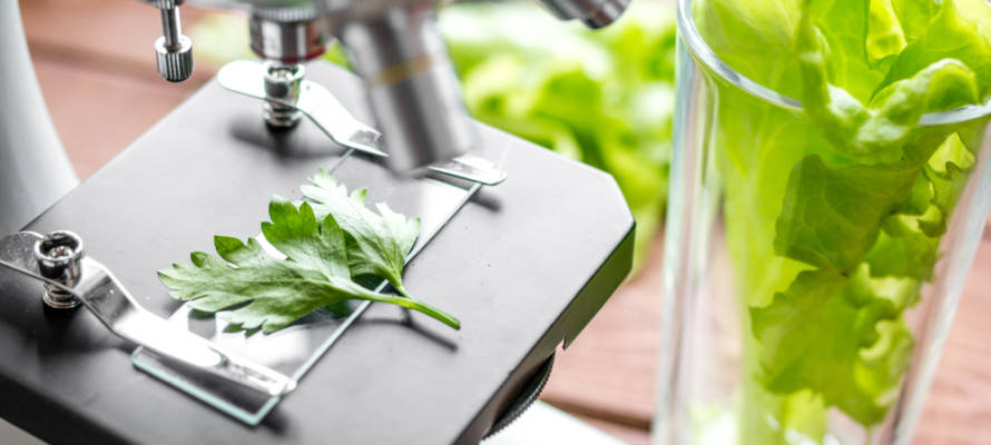 Food technology