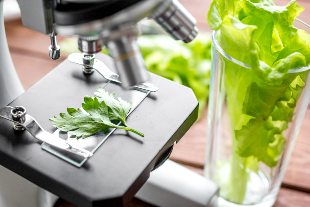 Food technology